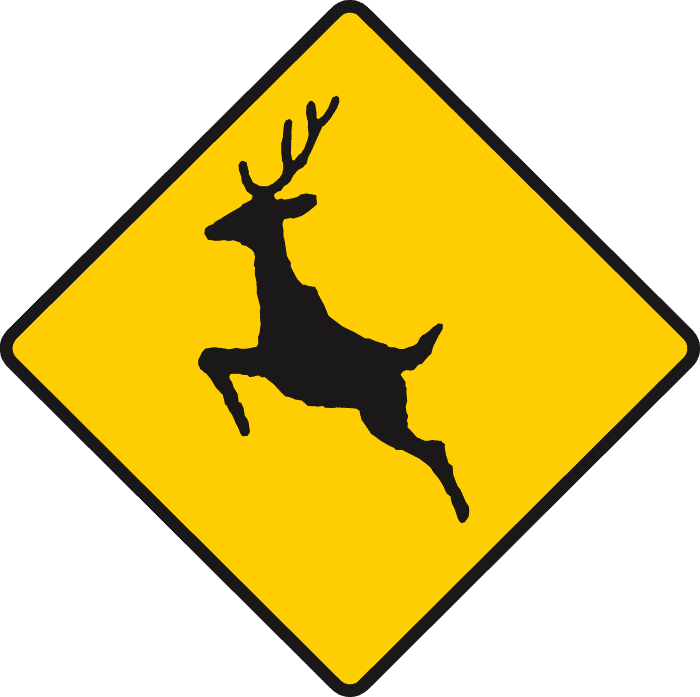 What does this sign mean?
