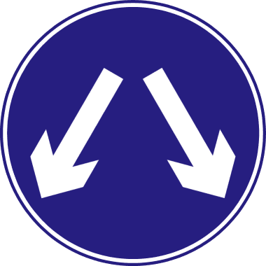 What does this sign mean?